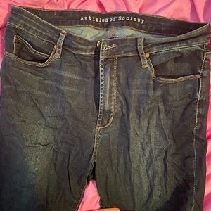 Articles of Society High Waisted Skinny Jeans 31